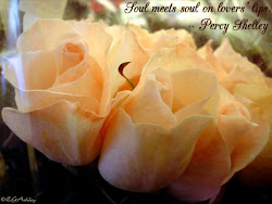 flowers quotes messages greetings heart