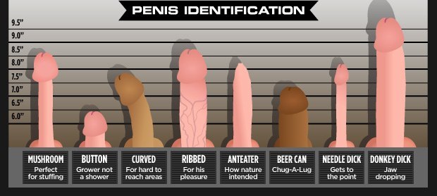 What Size Is Considered A Big Penis 87