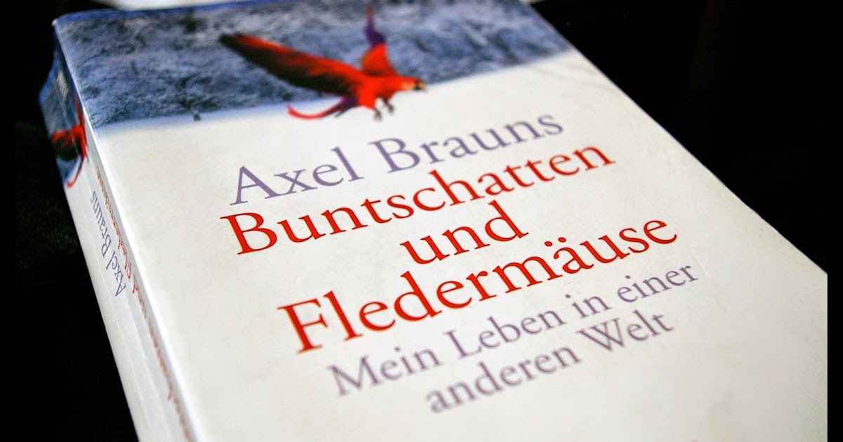 Leseblick Rezension Buntschatten Und Fledermäuse