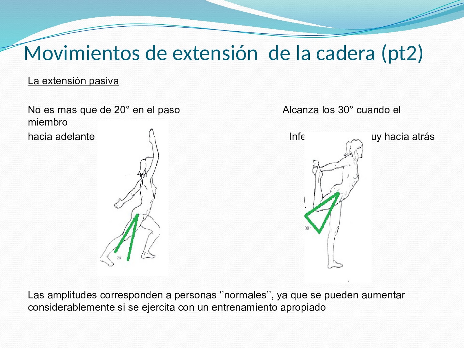 Consultorio Privado de Kinesiología y Fisioterapia Biomecánica de la Cadera Consultorio Privado de Kinesiología y Fisioterapia Biomecánica de la Cadera