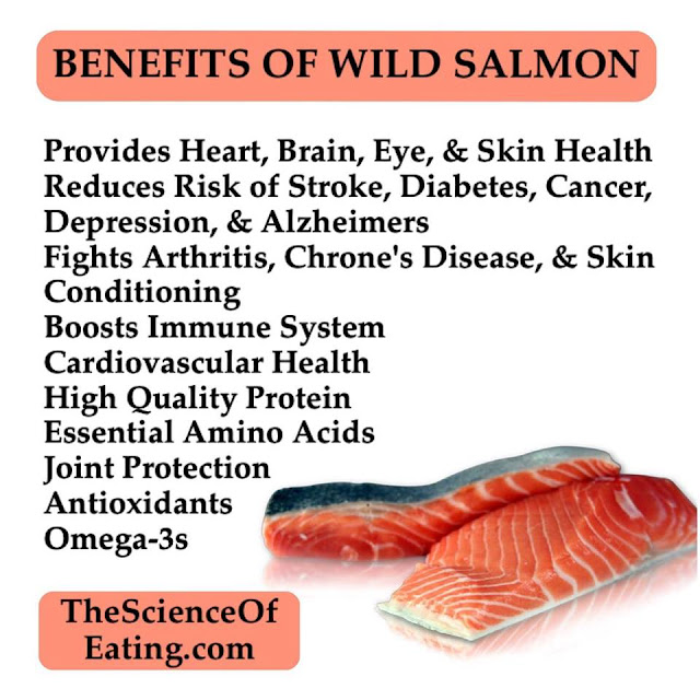 TELUGU WEB WORLD BENEFITS OF WILD SALMON