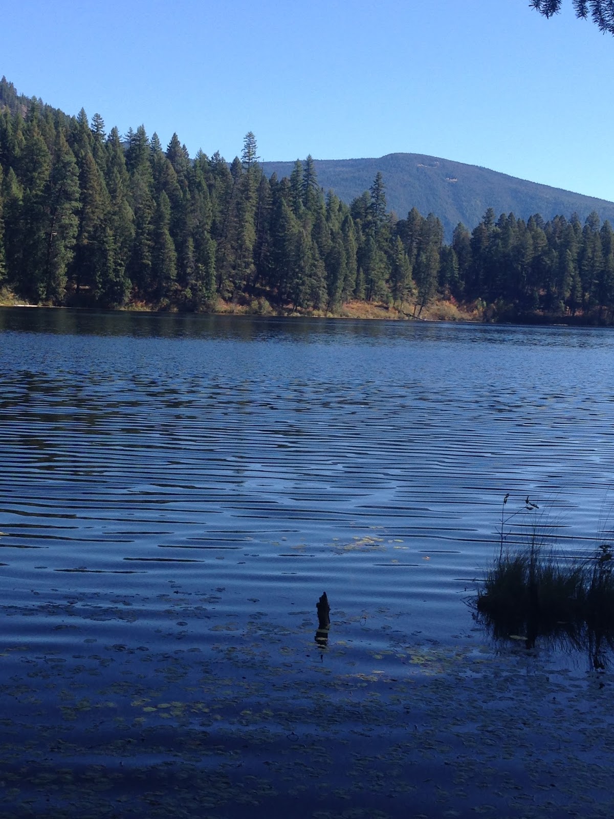Beauty 4 Ashes Robinson Lake
