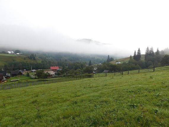Dzembronia.