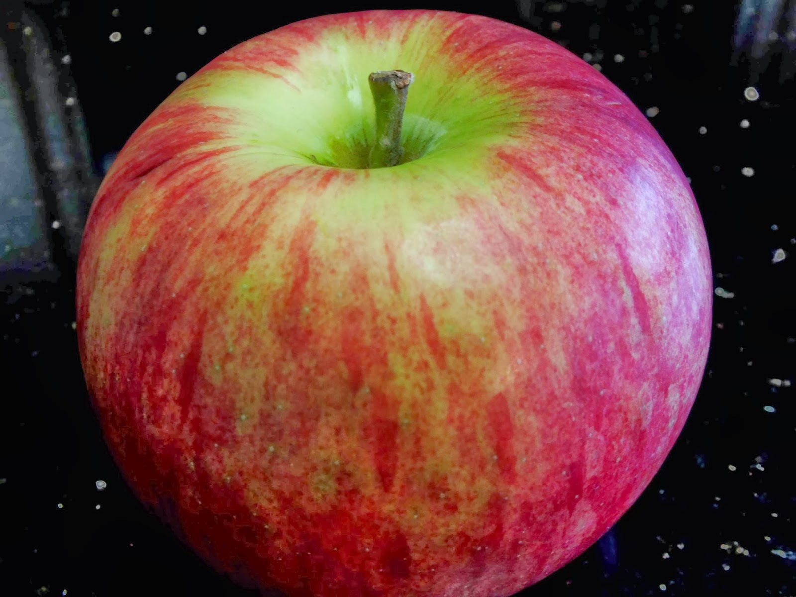 Cooking From Scratch Applesauce