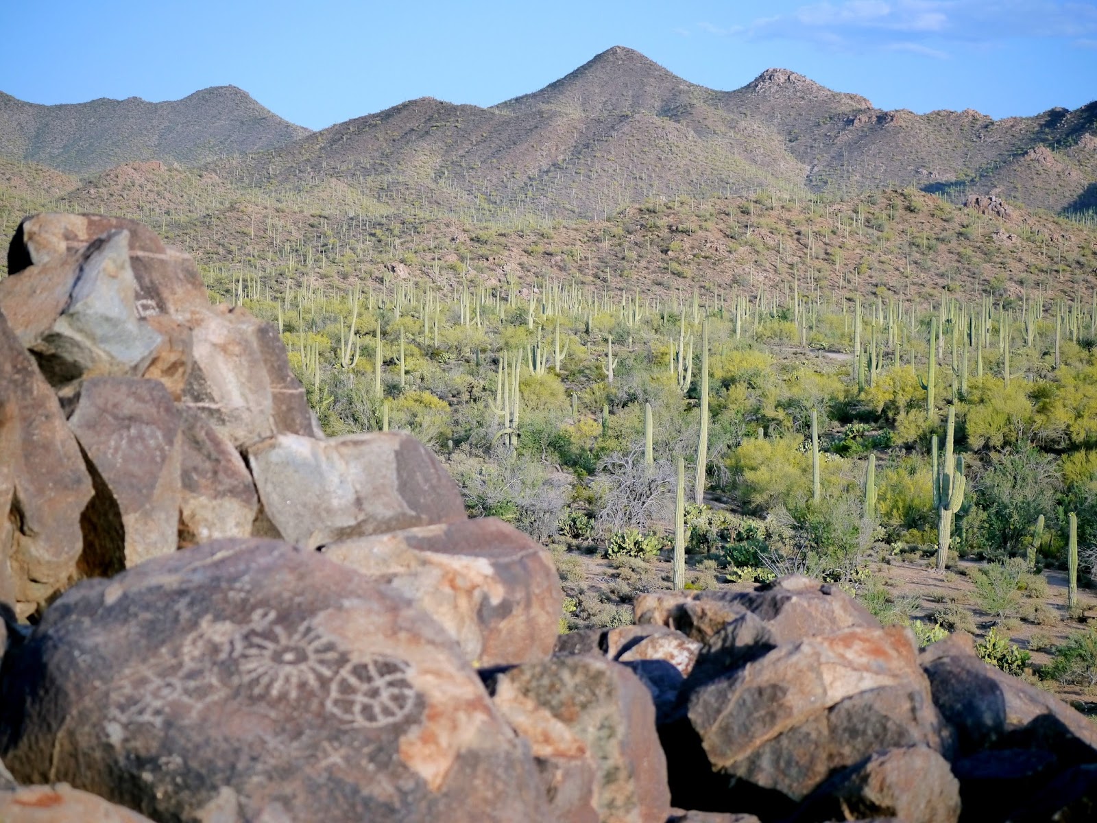 American Travel Journal Signal Hill Trail Saguaro National Park