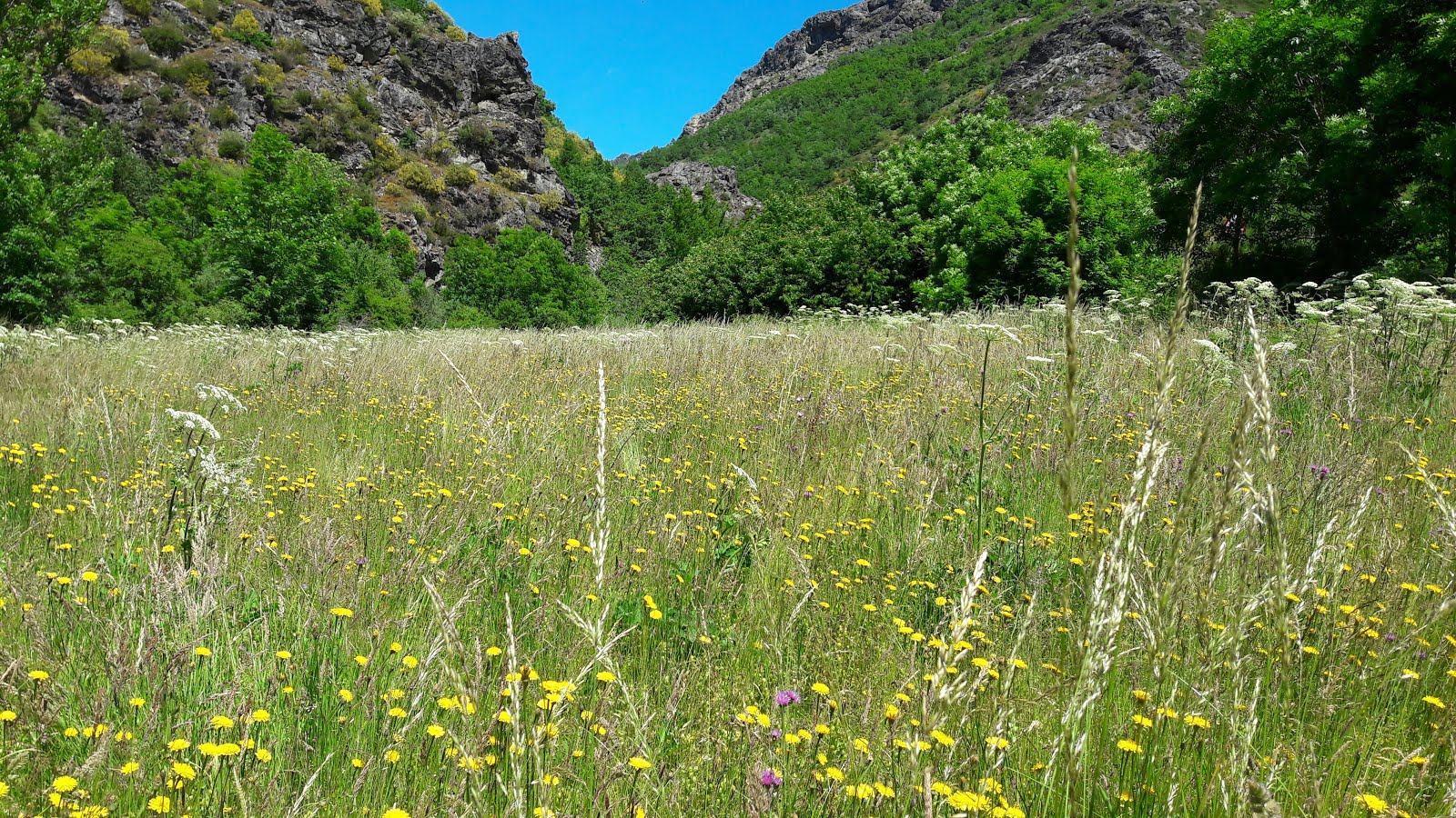 POR LA SENDA DE LA TRUCHA LEONESA, (Los praos de guadaña).