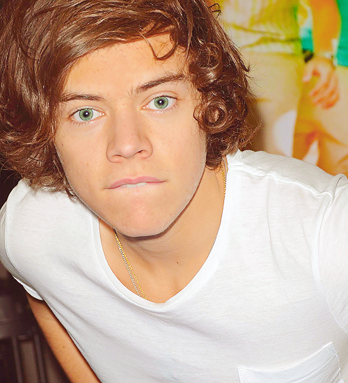 All About My Story Harry Styles's Biography