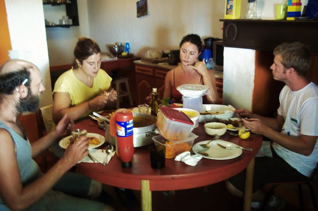 volontari wwoof vivere senza soldi