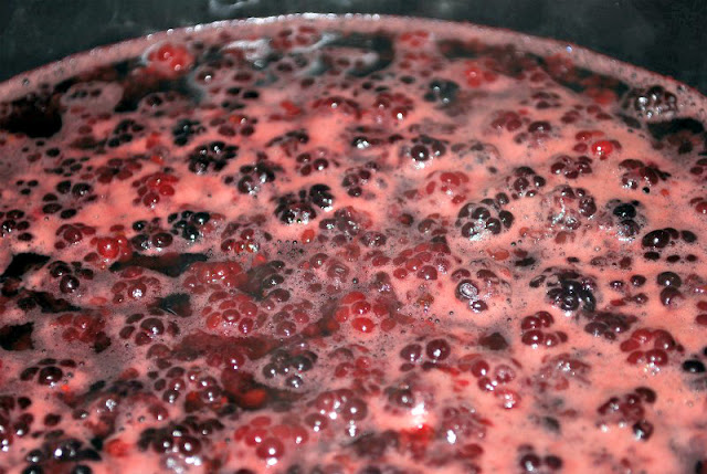 How to turn fresh fruit and berries into juice for jelly.