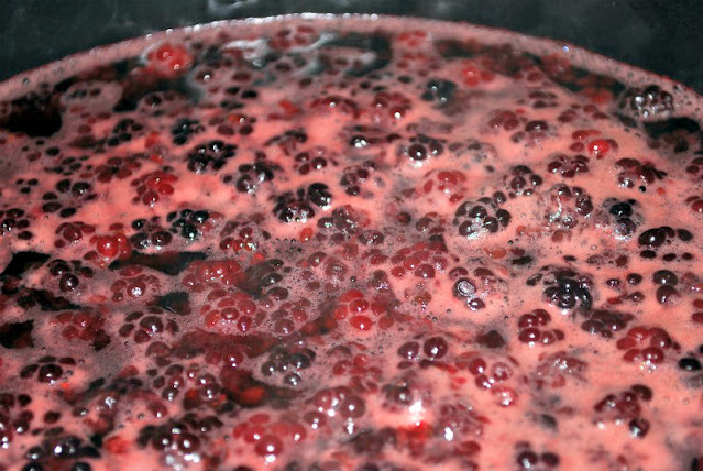 A heavy saucepan full of blackberries and water, simmering to extract the juice for jelly-making.