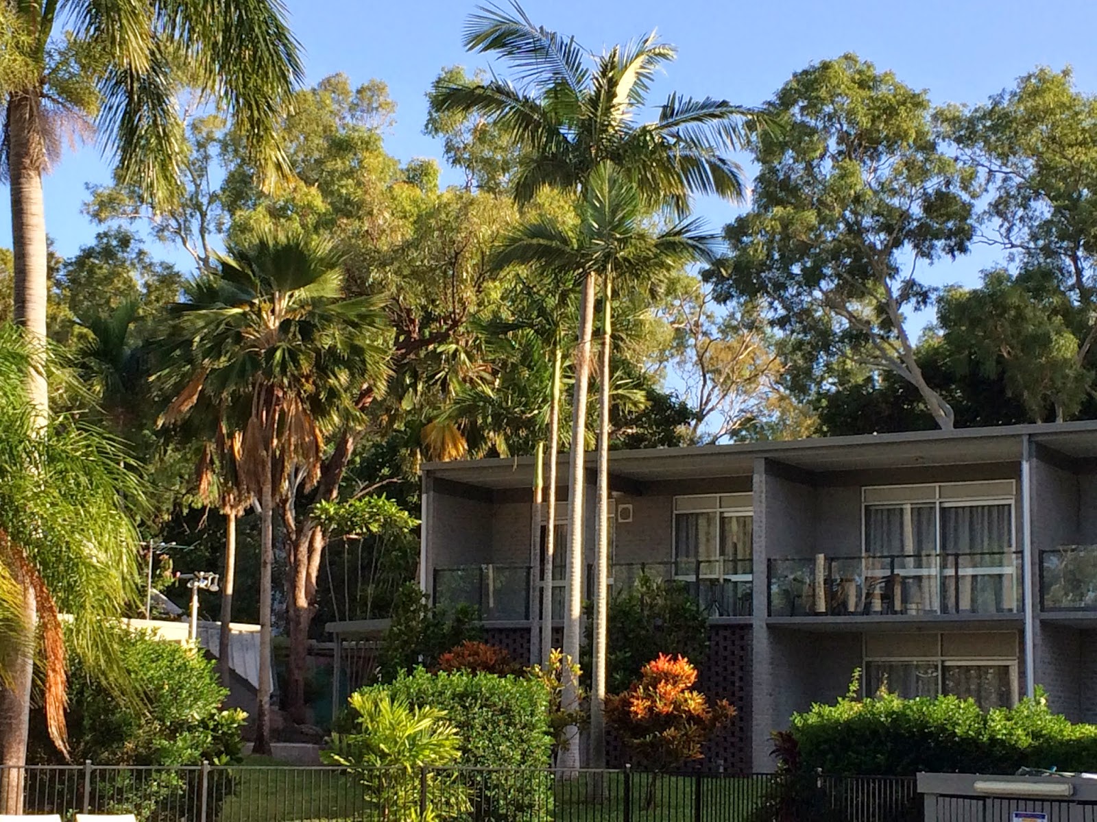 Budget Accommodation Magnetic Island Budget Accommodation Magnetic Island