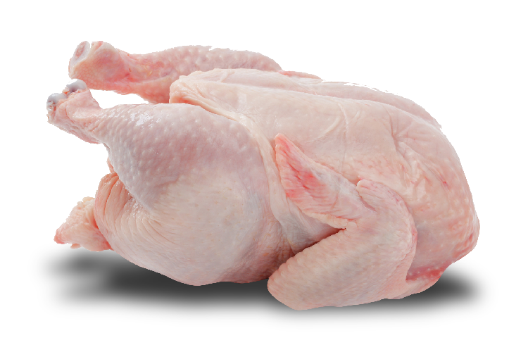 Ayam Dingin Segar Ayam Dingin Segar