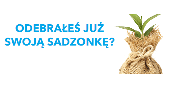 Zamień 10 pustych plastikowych butelek na sadzonkę Konkurs