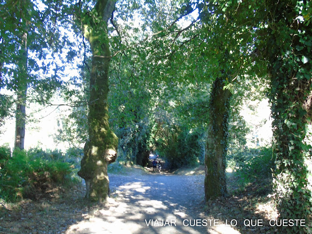 camino de santiago