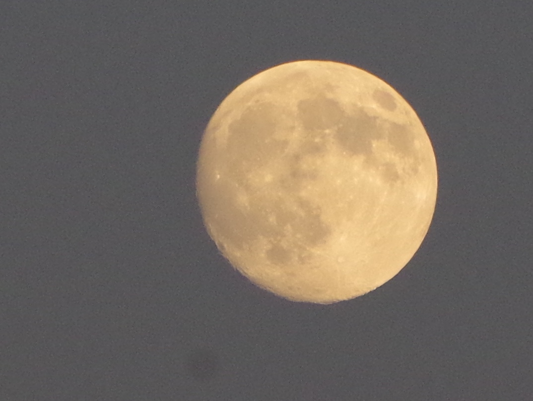 Луна есть помогать. Луна близко к земле фото. The Moon on 13 сентябрь. Видео близки в Луна. Какая Луна была в 28 12 2002.