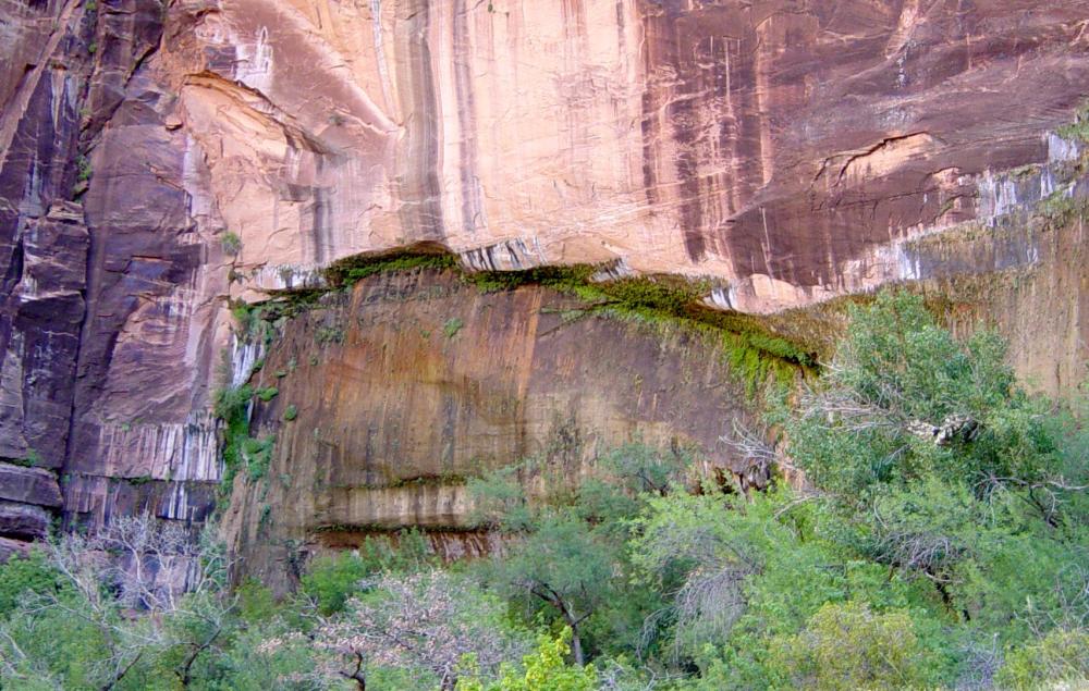 Day Hiking Trails Zion N.P. trail heads to hanging gardens