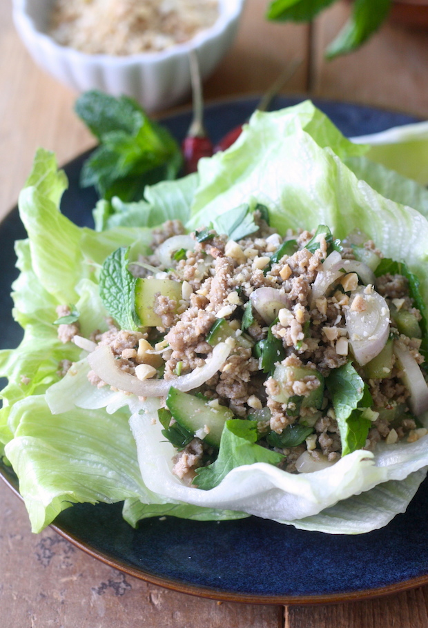 Thai Minced Pork Salad with Lemongrass Ginger Seasoning by SeasonWithSpice.com