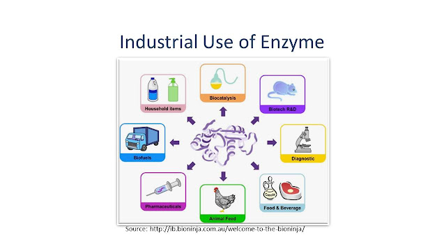 Use of Enzyme in Textile and Laundry Detergent