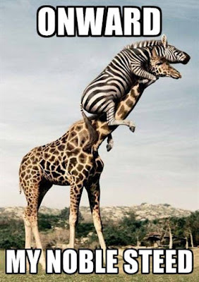 Happy Friendship Day Funny Images 2017 And Friendship Day Funny Quotes With Images For Funny Friends Happy Friendship Day Funny Images 2017 And Friendship Day Funny Quotes With Images For Funny Friends