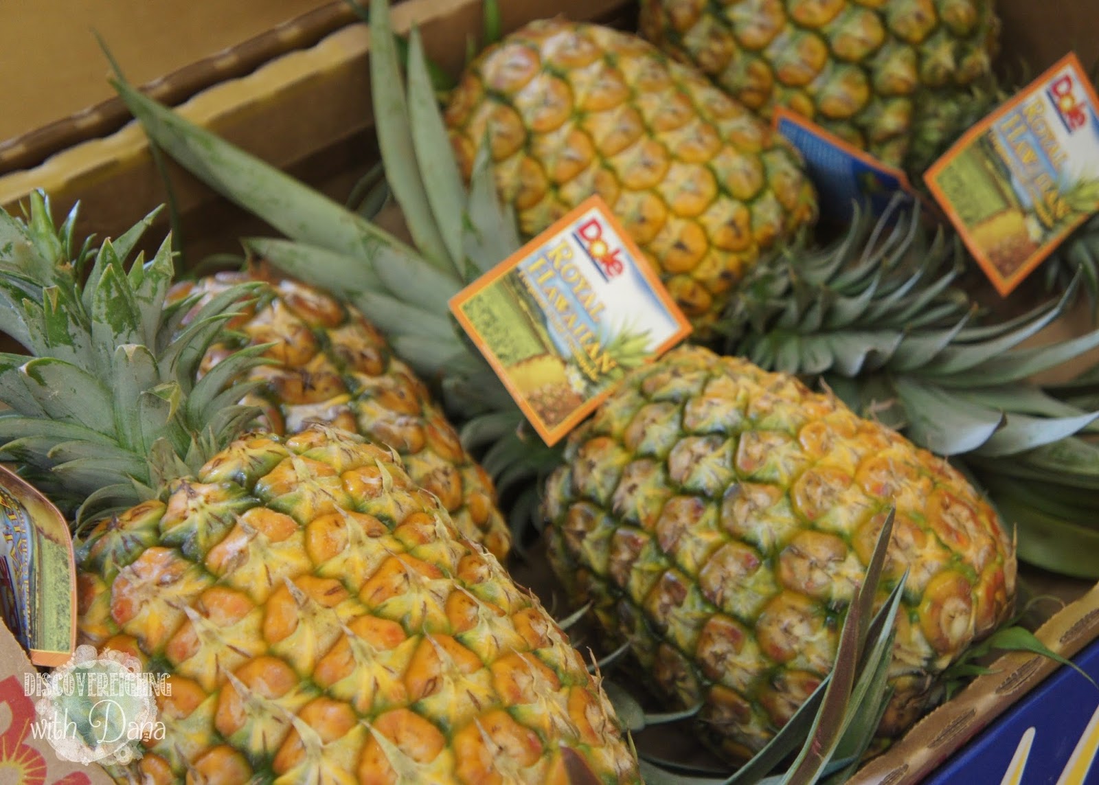 Discovereighng with Dana Dole Plantation + Pineapple Fields