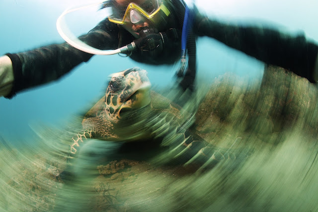 Jun V Lao, Underwater Photography, Scuba Diving
