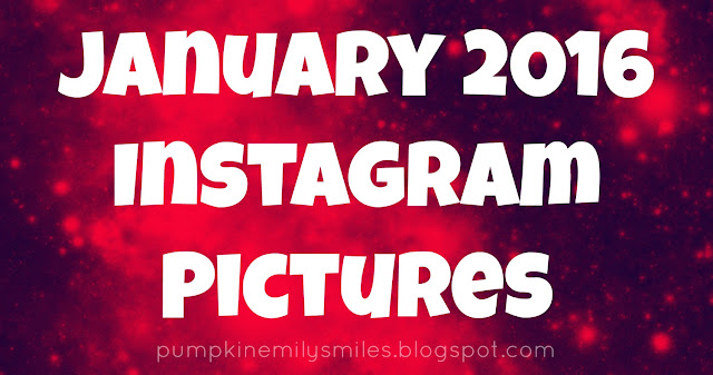 January 2016 Instagram Pictures