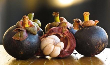 Kulit dan daging buah manggis sama-sama berkhasiat Kulit dan daging buah manggis sama-sama berkhasiat