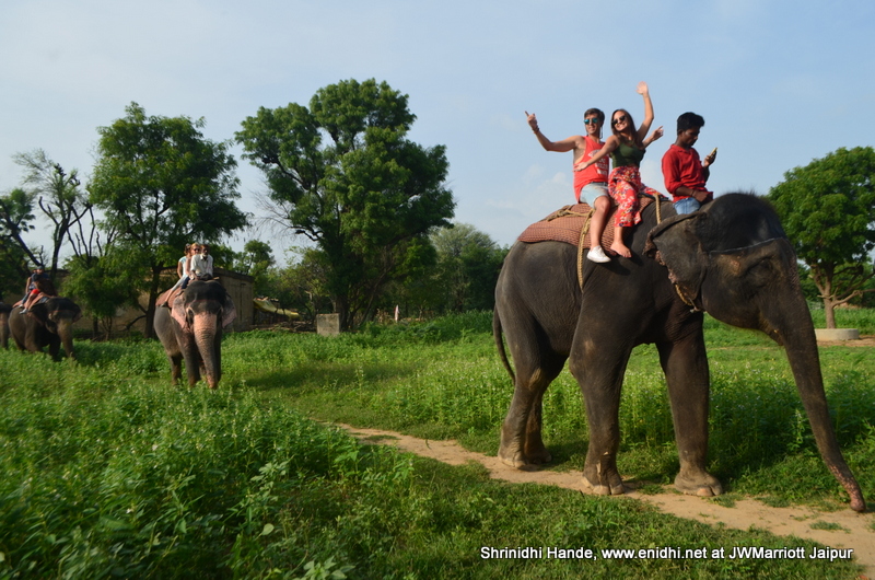Upclose with elephantsHathi Gaon visit experience, Jaipur eNidhi