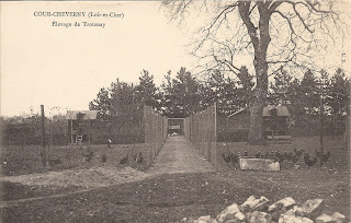 Elevage du château de Troussay - Cheverny