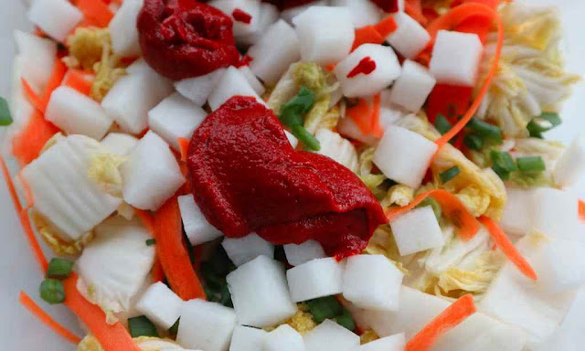 kimchi slurry on top of napa cabbage, cubed daikon, carrots