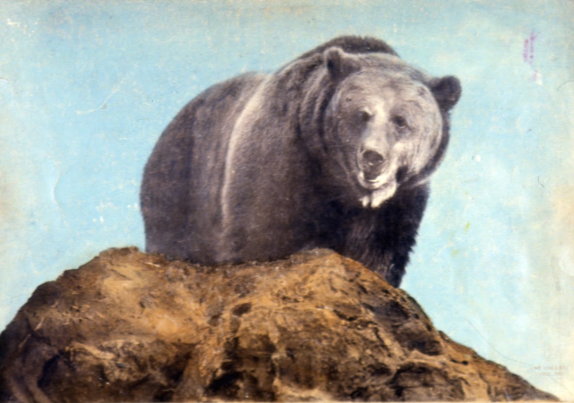 thelibrary News and resources from Albertsons Library at Boise State