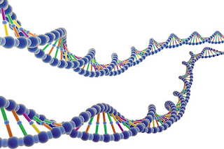 Genes Genes