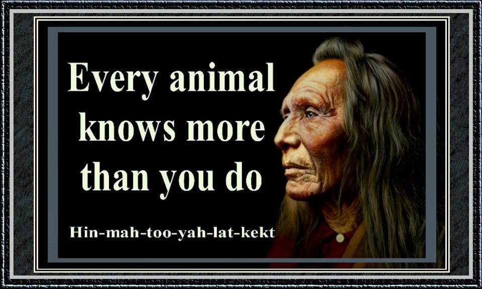 Every animal. Natural habitats примеры. Every animal. Every animal. I love animals.