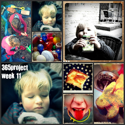 FiveGoBlogging 365project Week 11
