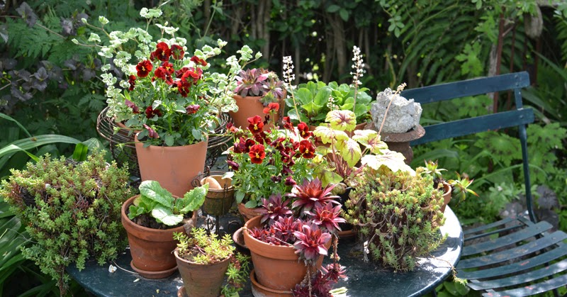 Visite de jardins: "Au jardin des petits sentiers" à Wavrin