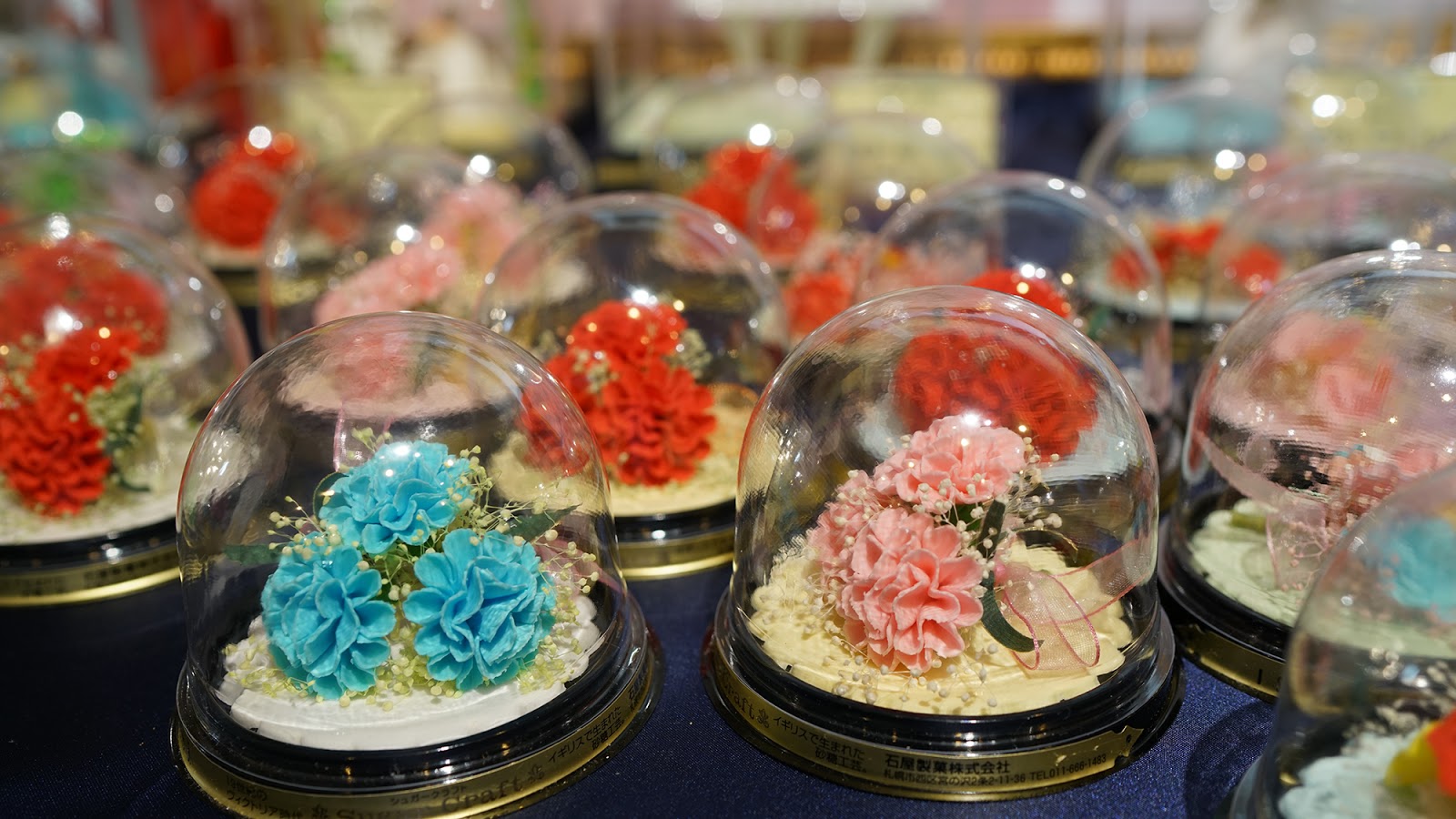 Flowers inside glass domes free picture for commercial use