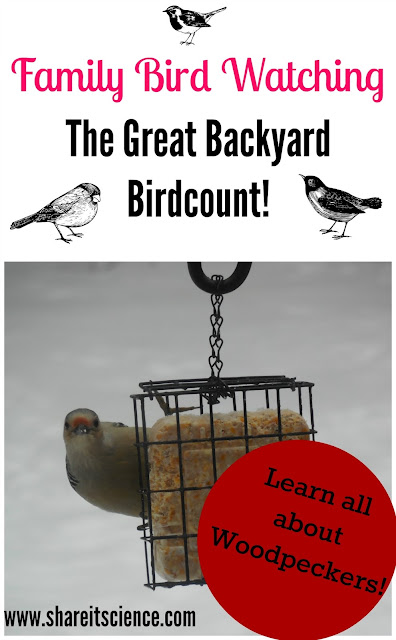 Share It Science Free Bird Counting Printable Great Backyard