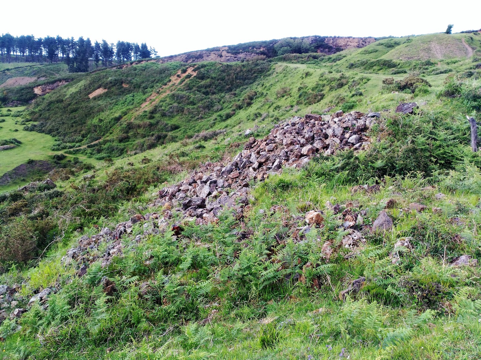 MineralesDB Ruta por la Arboleda 2