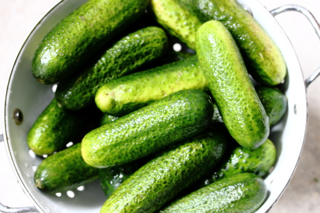Saure Gurken — Rezepte Suchen