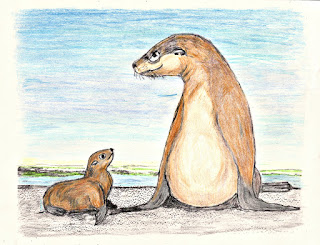 Sea lion drawing by Annake