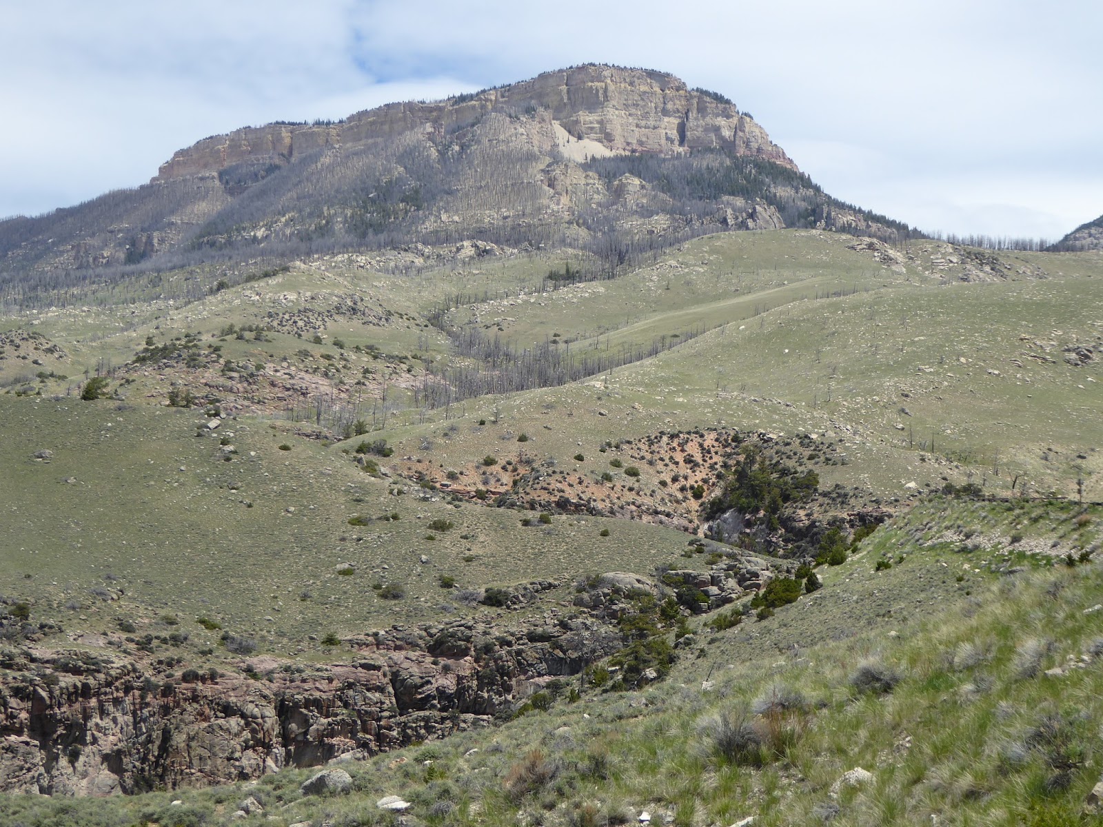 Ray's Retirement Billings MT to Worland WY