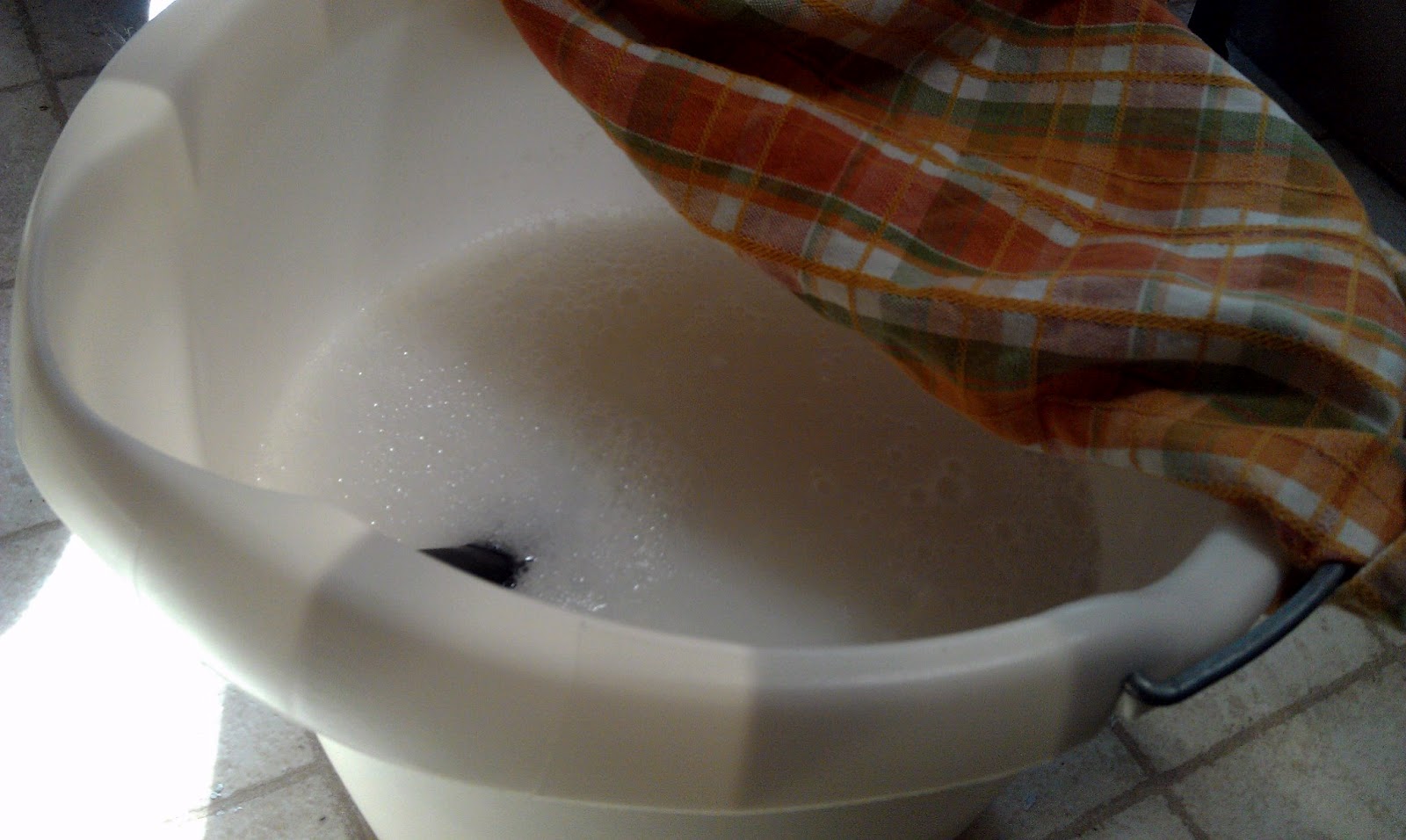 The Lost Maineiac 2Gallons Homemade Ivory Laundry Soap