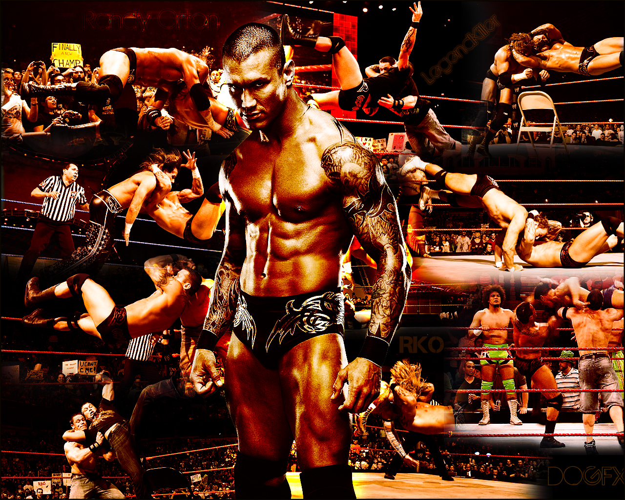 http://4.bp.blogspot.com/-bDSMRBxbReo/TejVUaOnEsI/AAAAAAAAAEA/OqK8ZvL9yrU/s1600/WWE-Randy-Orton-Wallpaper1.jpg