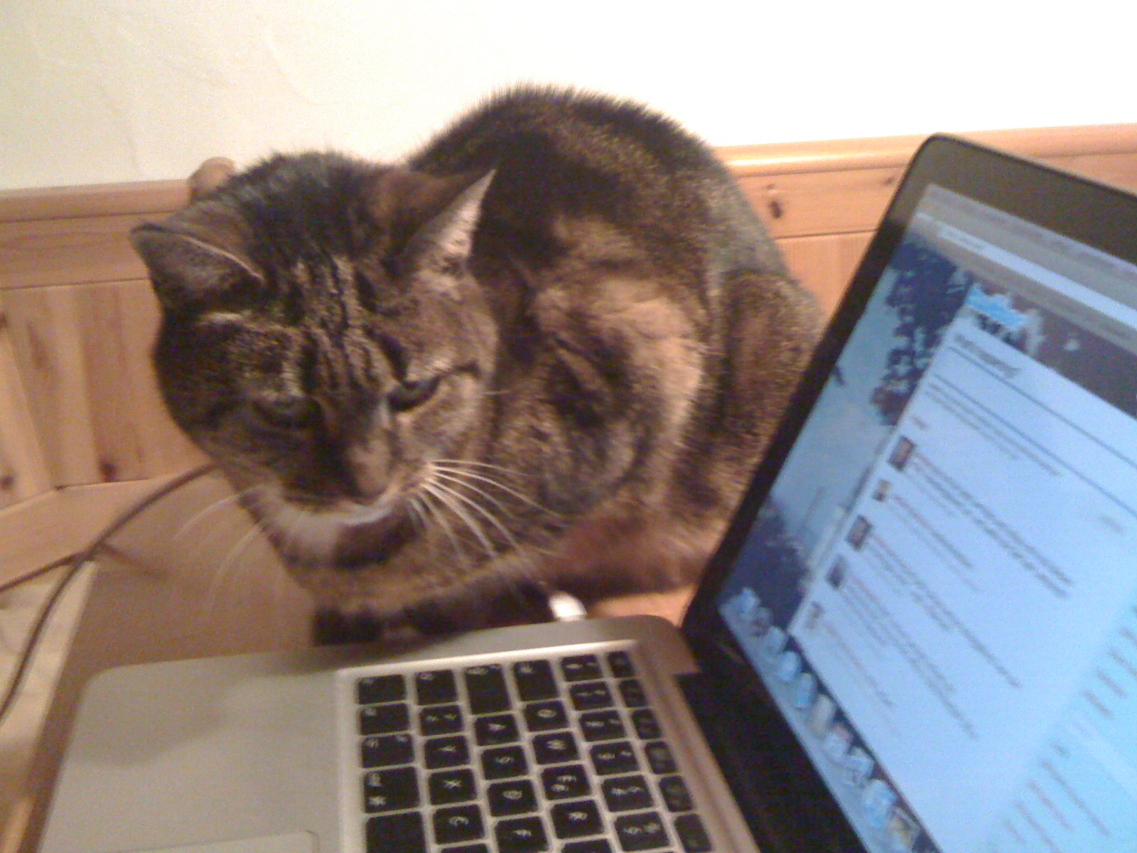 Amazon Com Watch The Newsroom Season 1 Prime Video