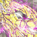 Revelada capa do 12 volume de Next Dimension!