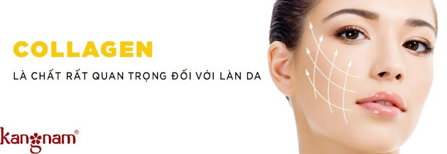Collagen rất quan trọng cho da Collagen rất quan trọng cho da