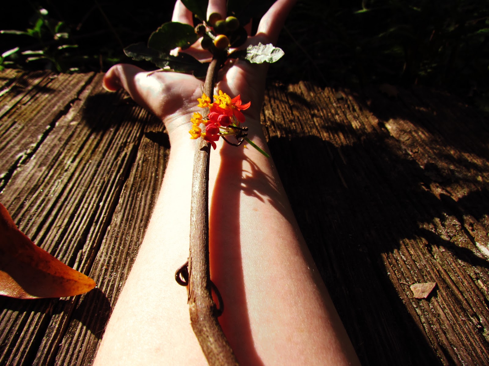 Earthing Energy + Nature Photoshoot Idea Arm Outstretched + Nature Art