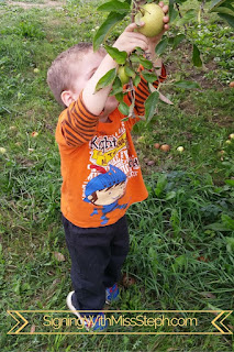 32 month old pulls apple from a low tree branch