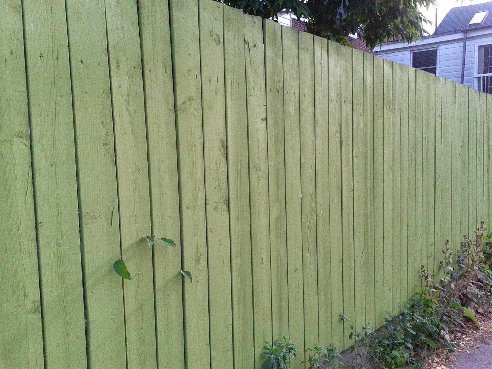 Toronto things Stock photo Light green wood fence