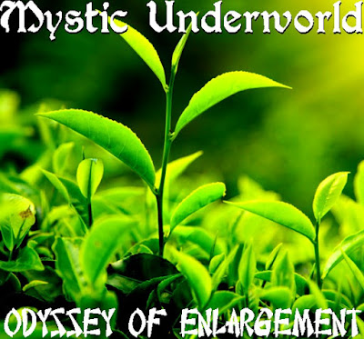 Odyssey of Enlargement Front Cover